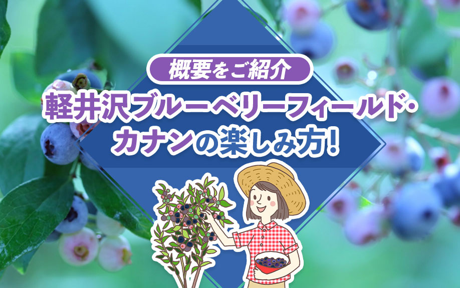 軽井沢「ブルーベリーフィールド・カナン」の楽しみ方！概要をご...の画像