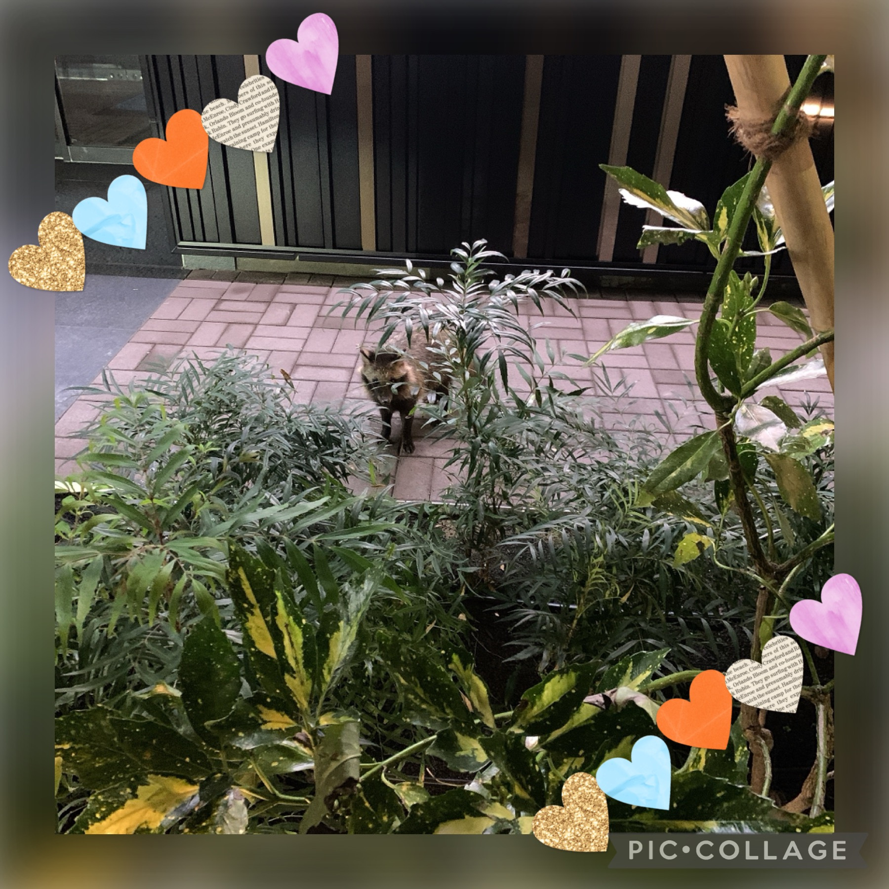 自然豊かな暮らしの画像