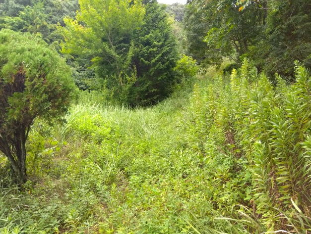 【売土地】袋井市豊沢の画像