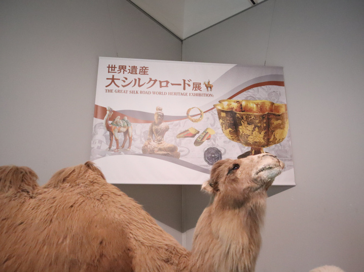 松山市堀之内にある愛媛県美術館で6/22～9/1まで開催され...の画像