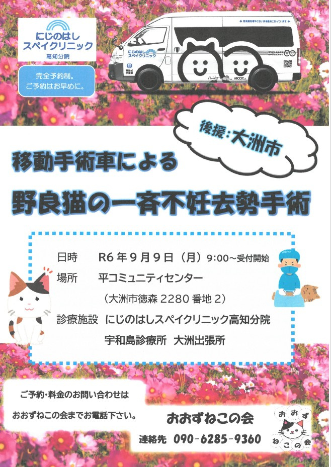 大洲市　猫避妊去勢手術への取り組みの画像