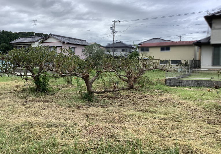 【売土地】掛川市西山の画像