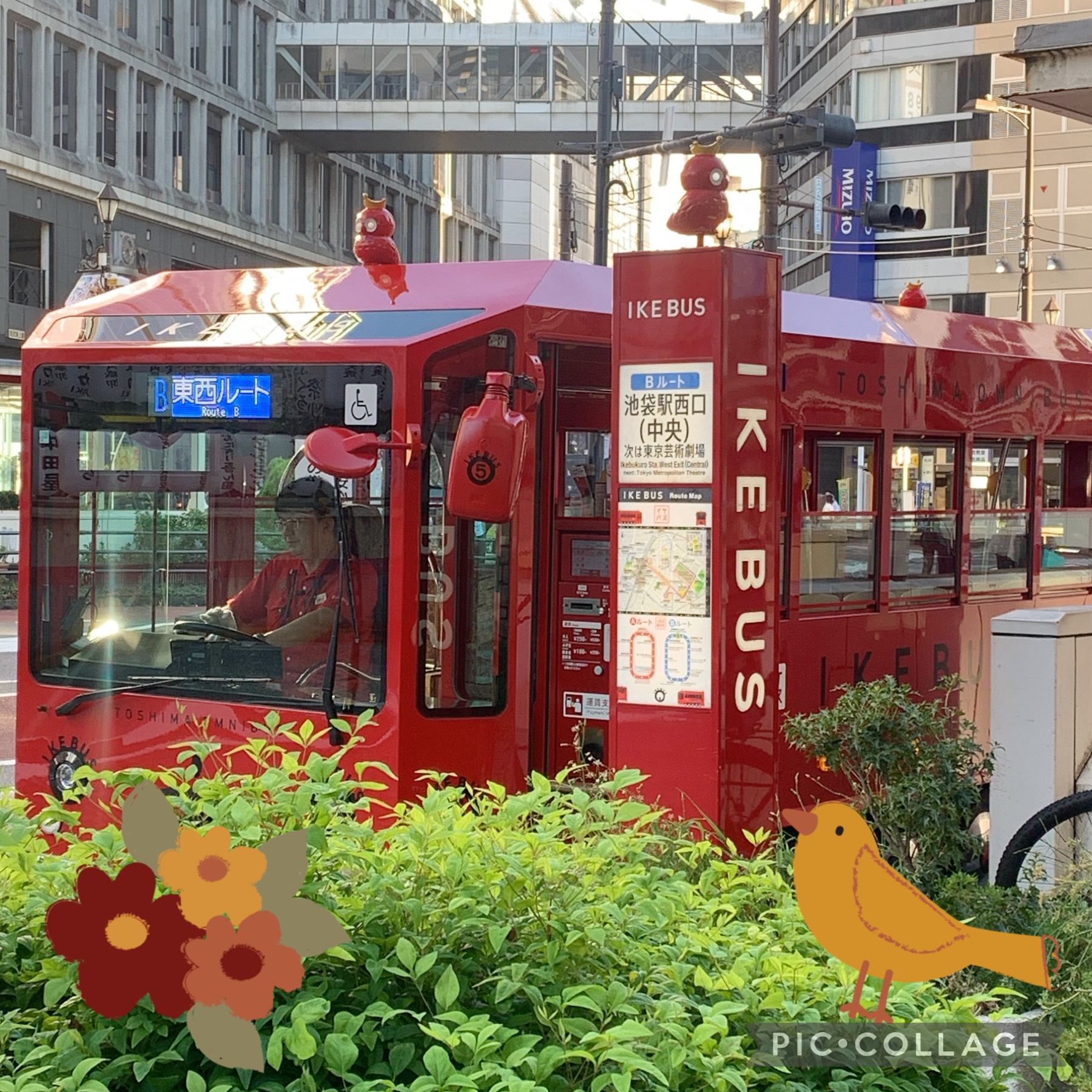 バスに乗ろう！の画像