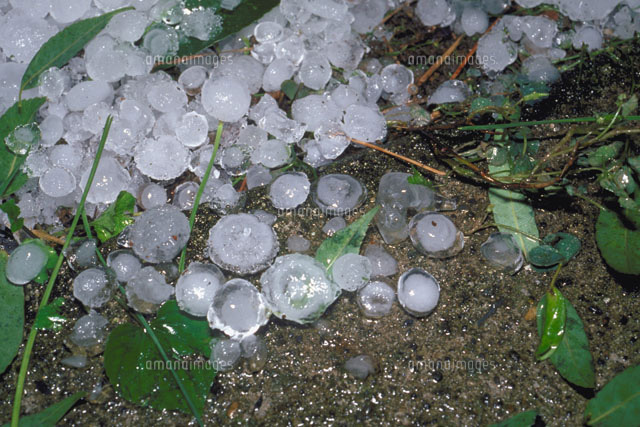 天気の急変要注意の画像