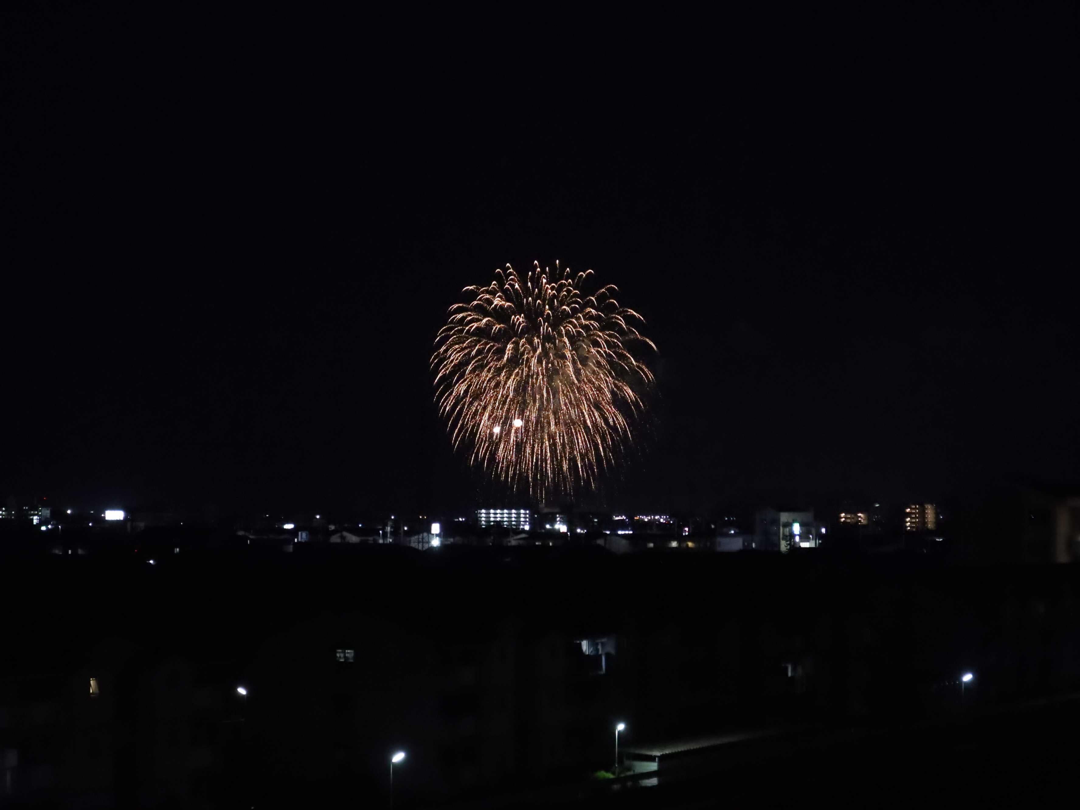 松山市市坪西にある坊ちゃんスタジアムで行われた「秋の坊ちゃん...の画像