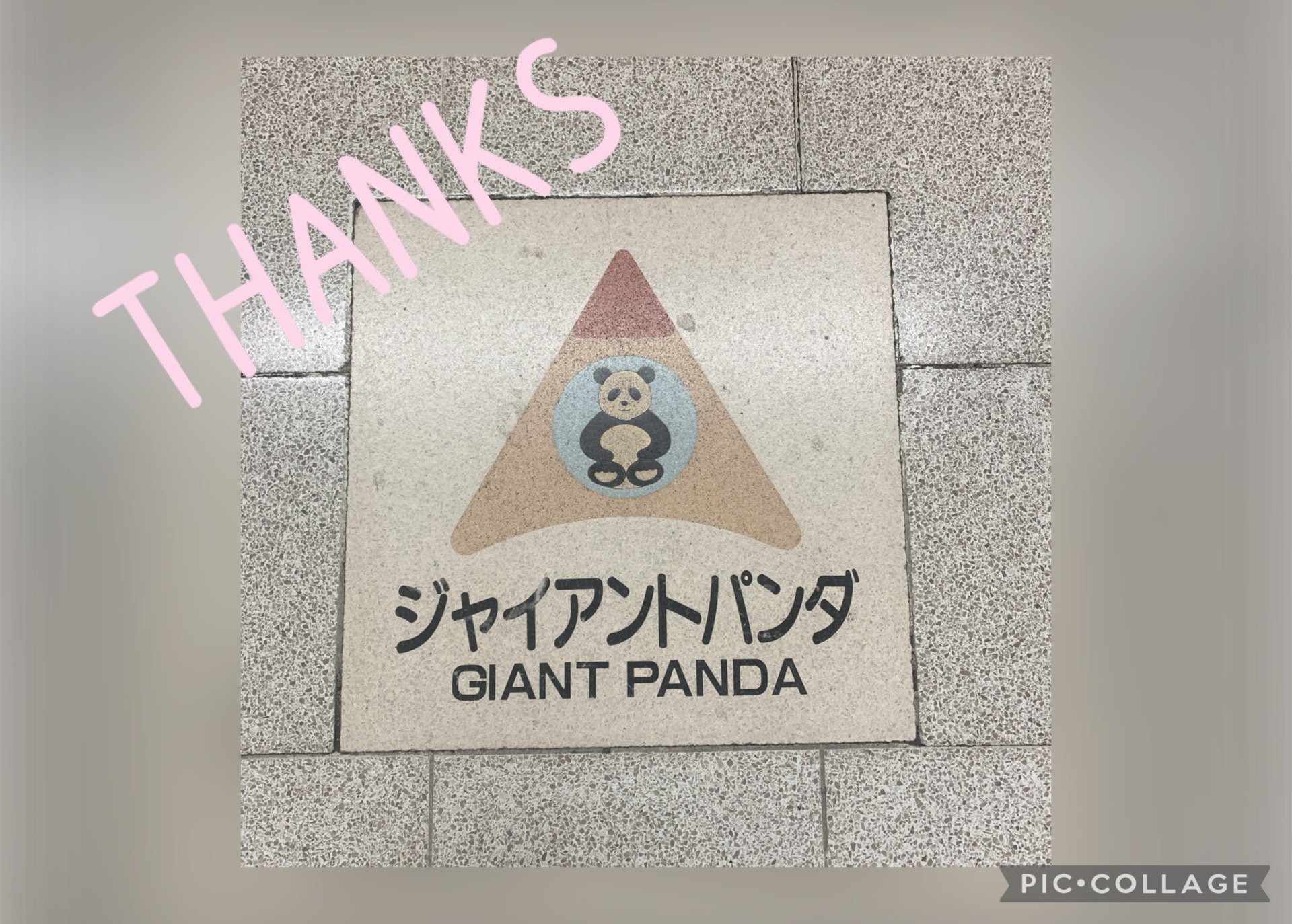 離れてしまいました…の画像