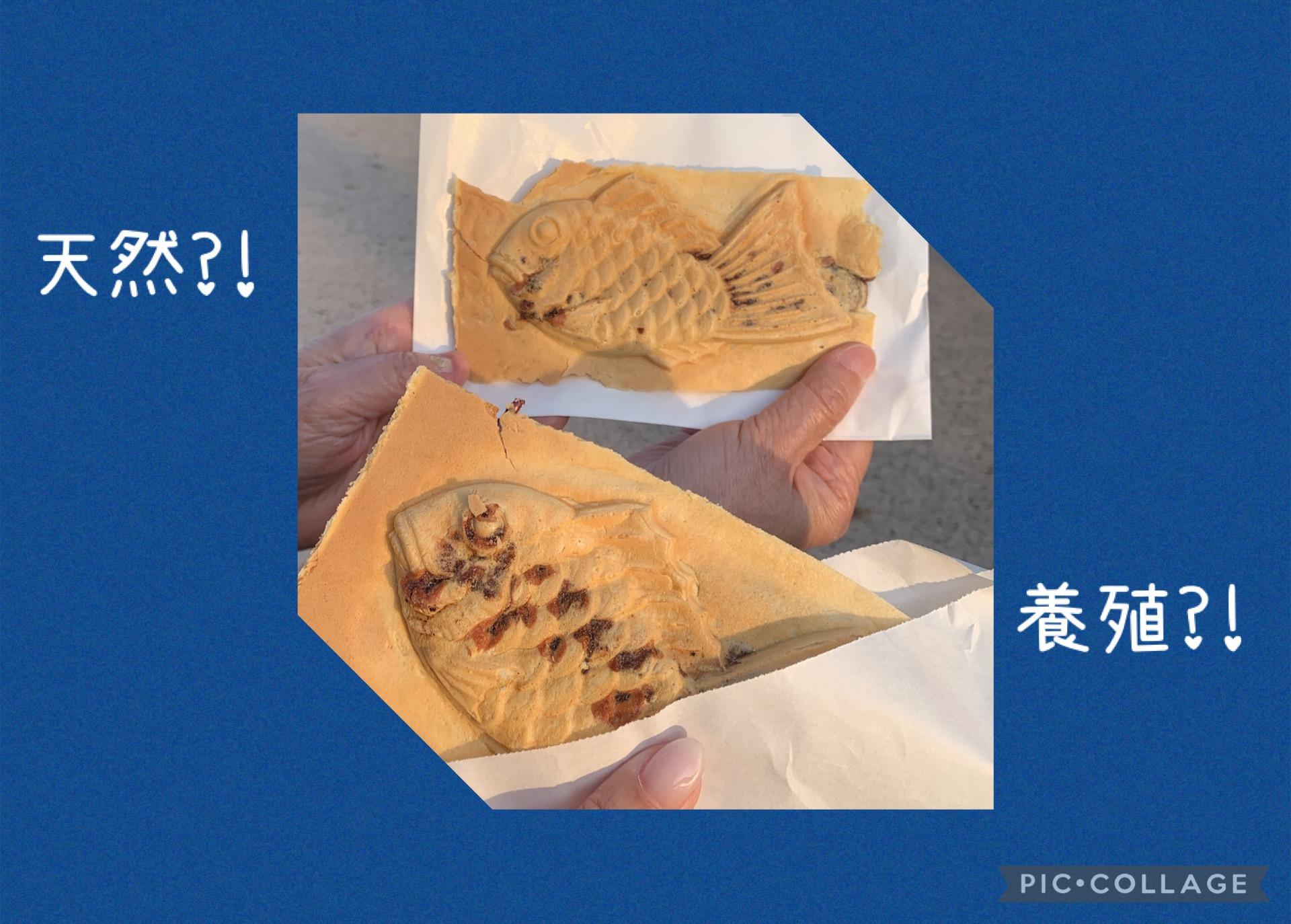 こだわりがありますの画像