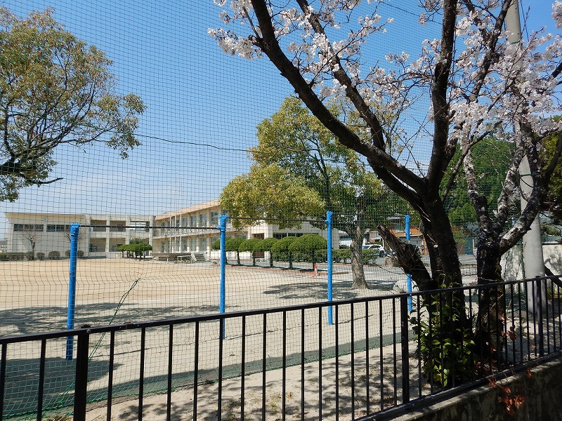 【2026年RN】稲沢市千代田小学校区の土地相続！成功への道...の画像