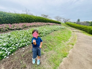 季節を感じに散歩へGO!!の画像