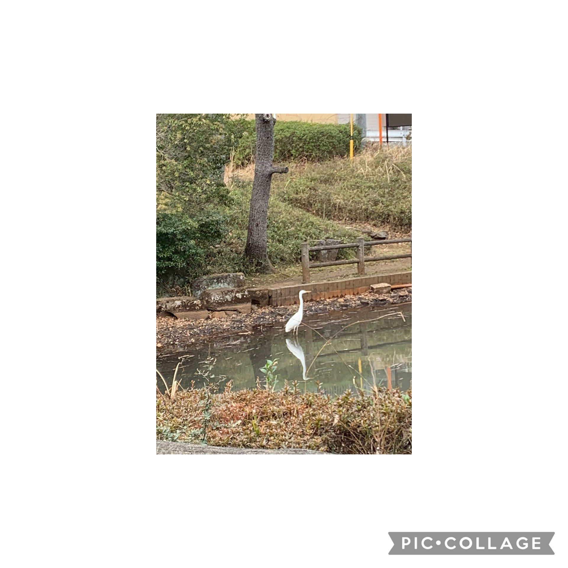 多摩湖へ行ってみようの画像