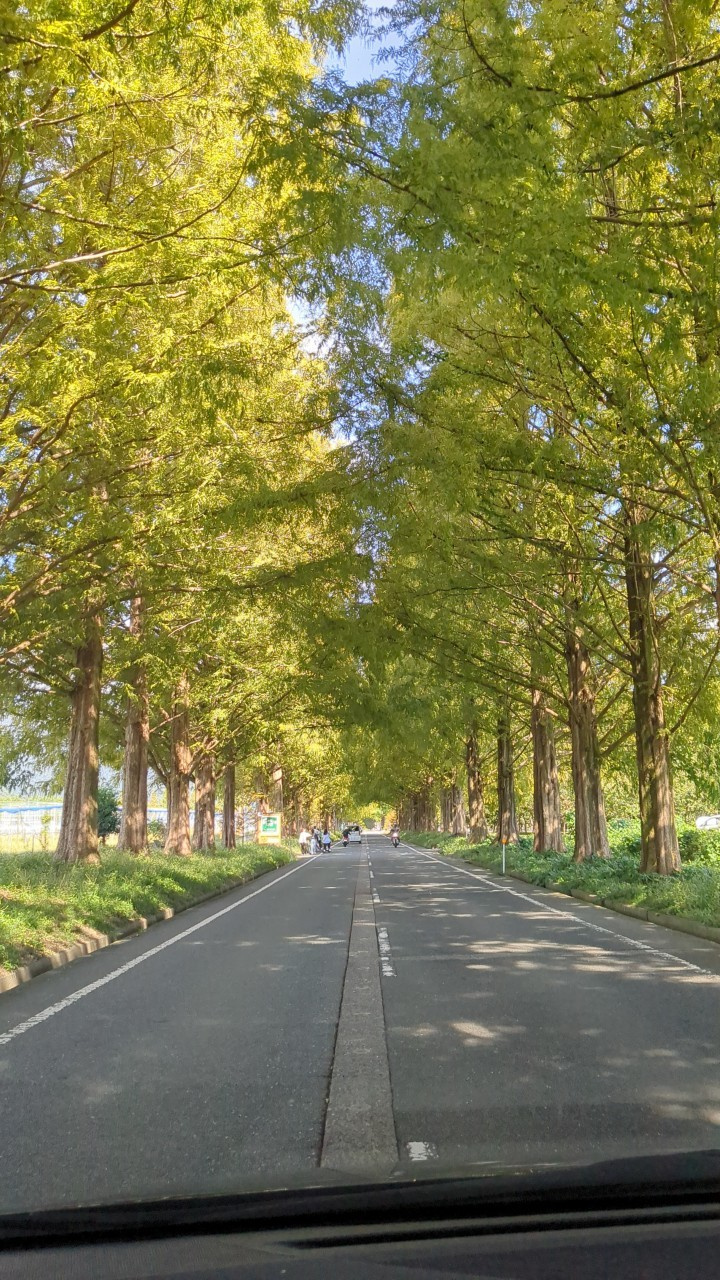 琵琶湖へ！の画像