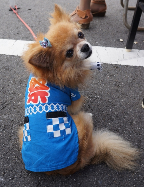 納涼祭御礼の画像