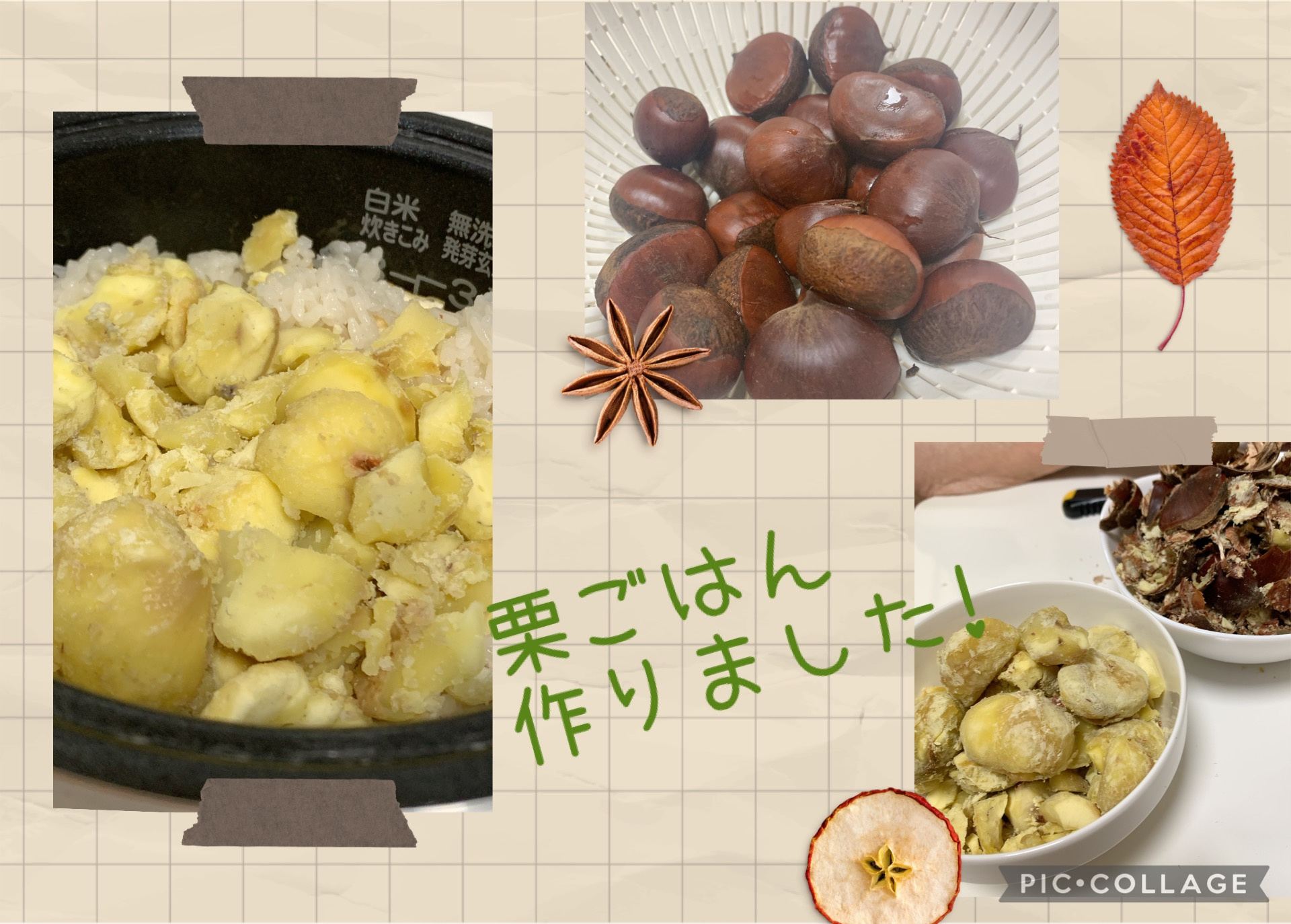 お引越ししやすい季節になりましたの画像