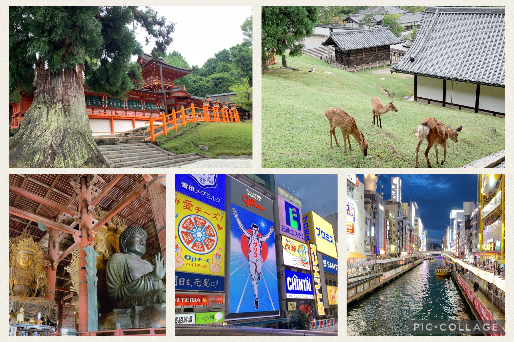 夏の思い出の画像
