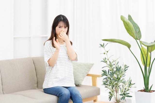 賃貸物件のにおいの原因とは？内見時のチェックポイントや対策も...の画像
