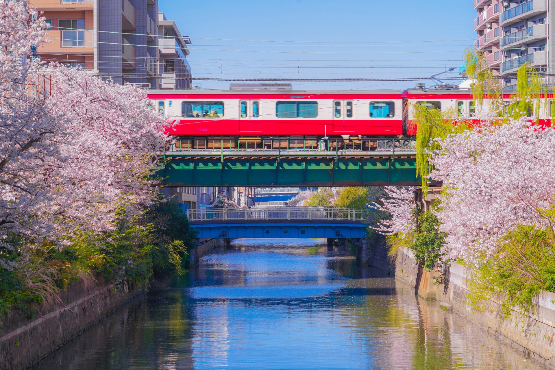 横浜でペット可賃貸を探すなら京急線沿線！！上大岡から新子安！！の画像