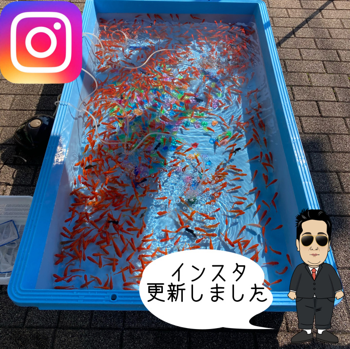 ところざわまつり　2024の画像