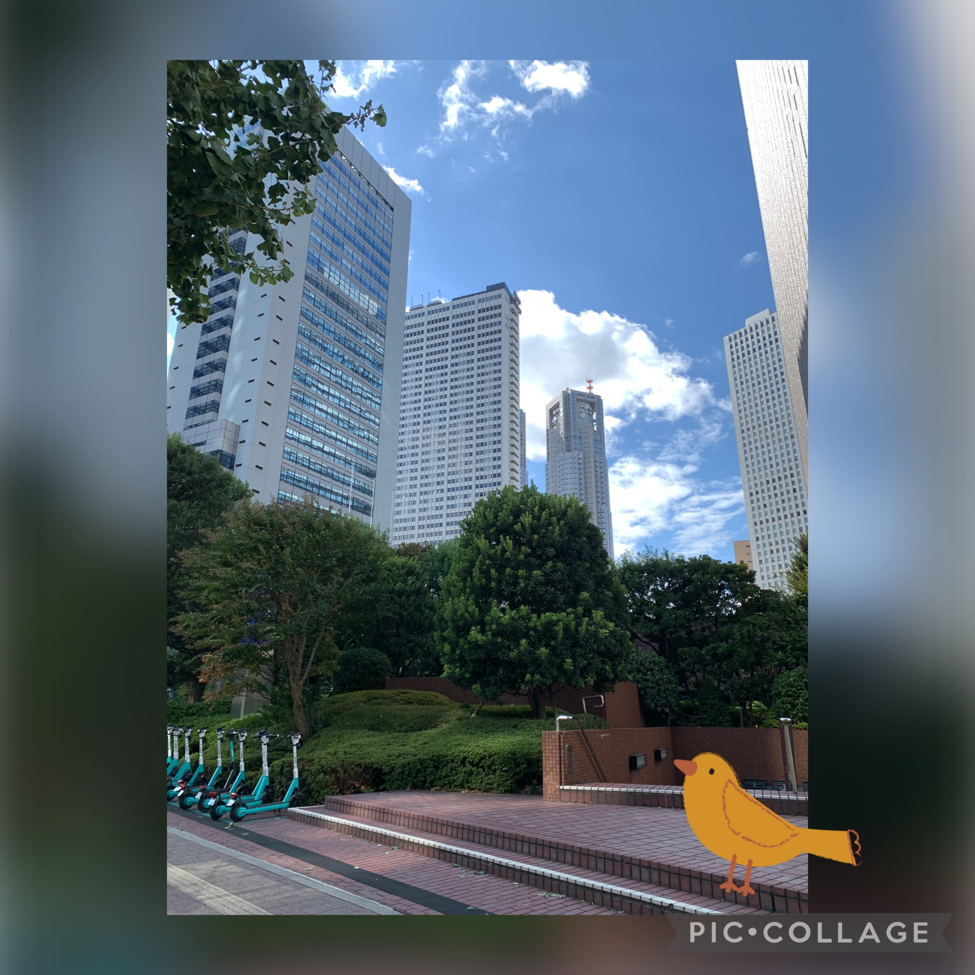 秋晴れです！の画像