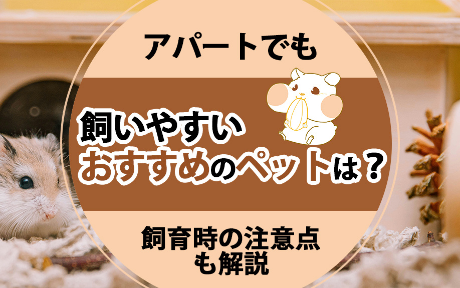 アパートでも飼いやすいおすすめのペットは？飼育時の注意点も解...の画像