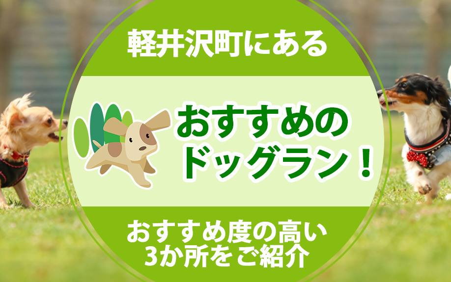 軽井沢町にあるおすすめのドッグラン！おすすめ度の高い3か所を...の画像