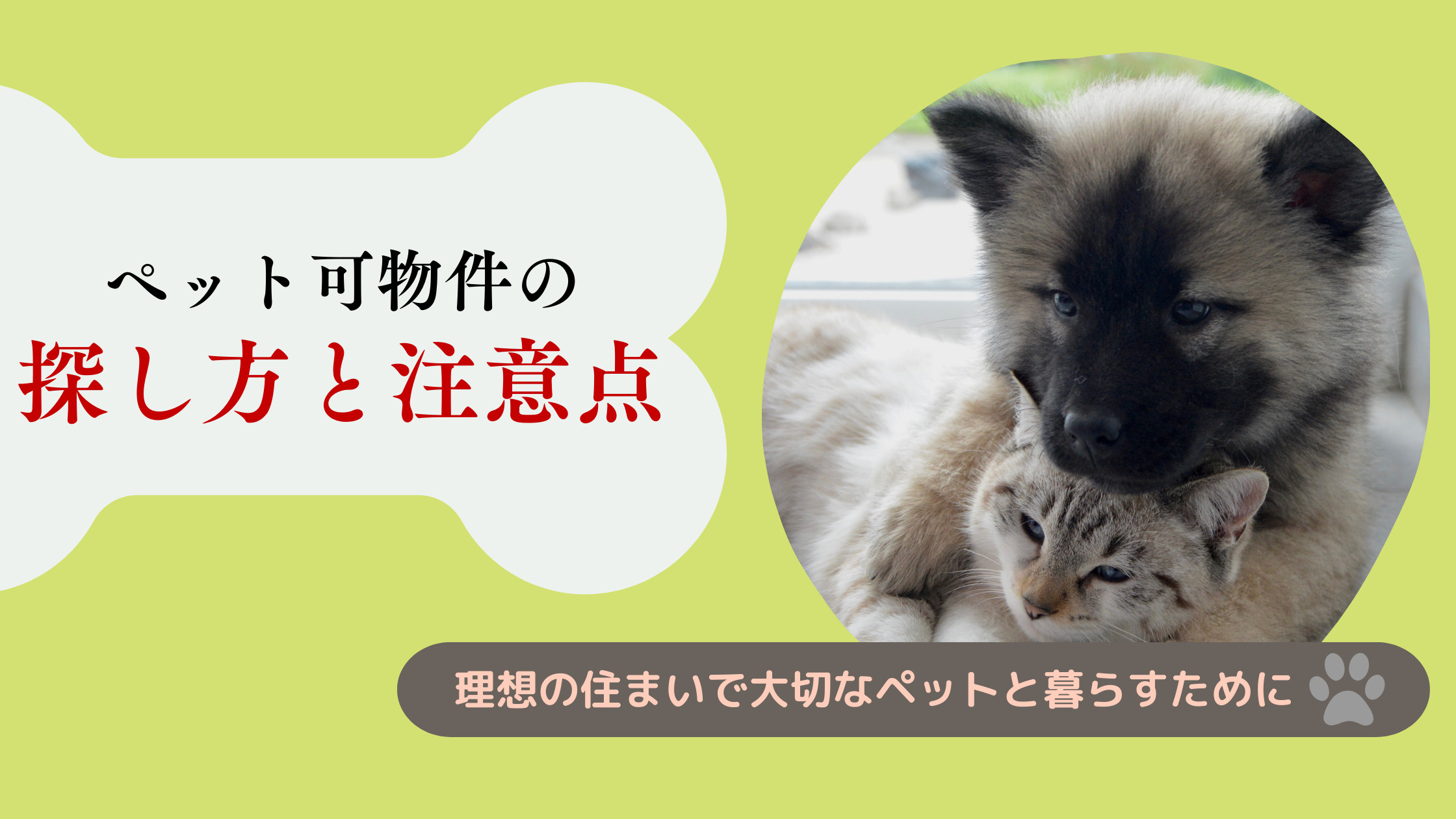ペット可物件の探し方と注意点：理想の住まいで大切なペットと暮...の画像