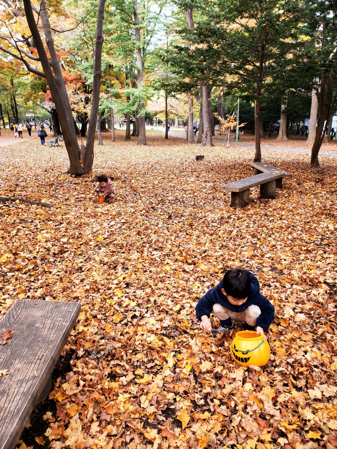 自社物件　募集開始！の画像