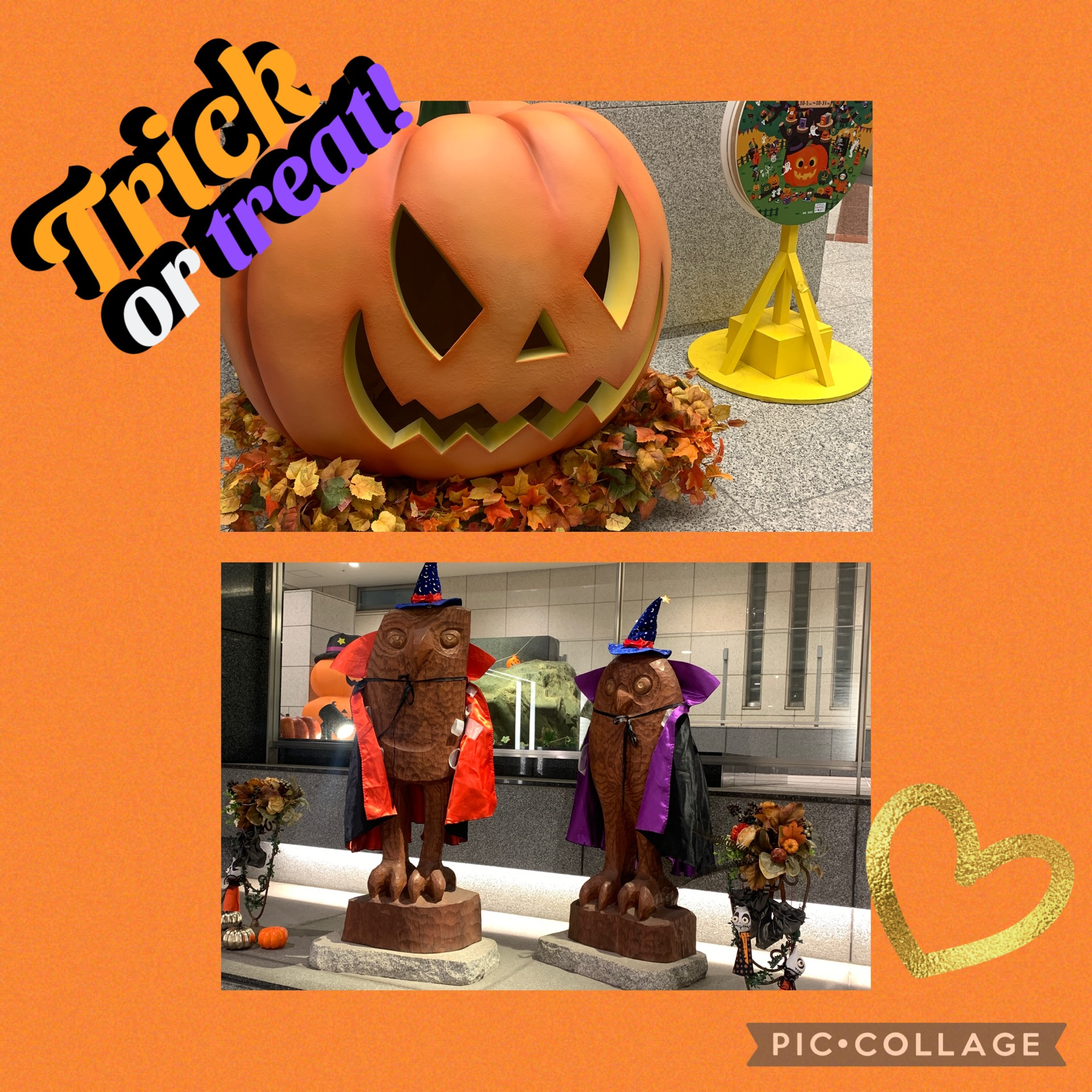 ハロウィン☆の画像