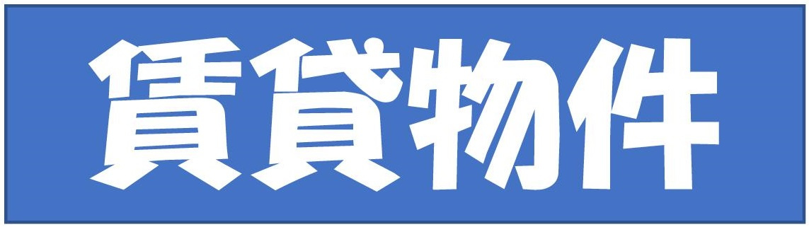 本日の新着情報!!の画像