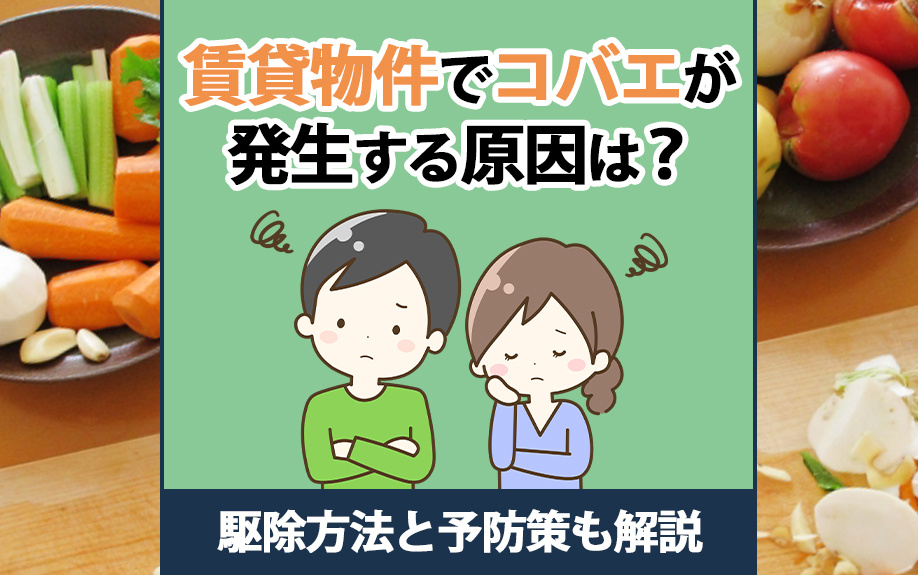 賃貸物件でコバエが発生する原因は？駆除方法と予防策も解説の画像