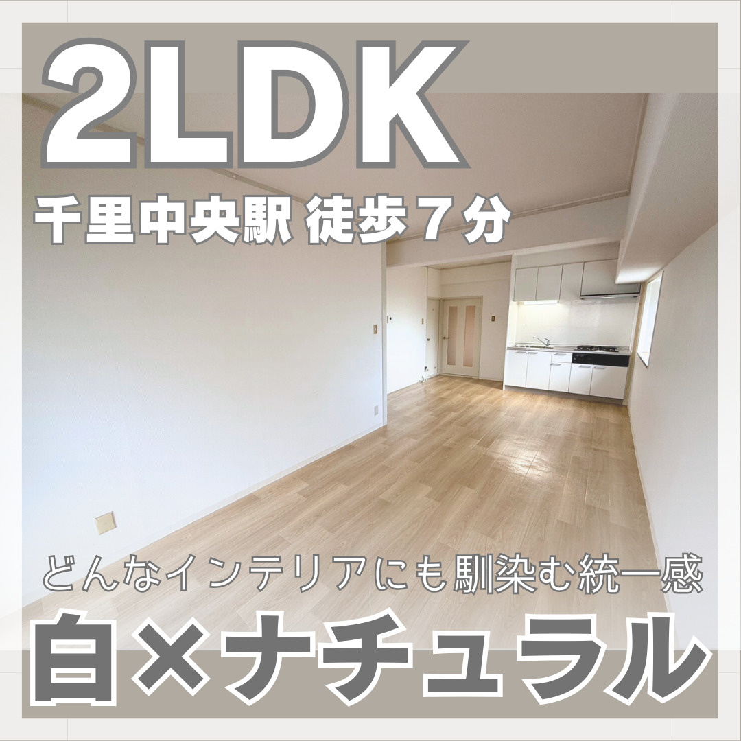 ナチュラル好きさんへ・豊中市2LDK【メゾン千里中央】の画像