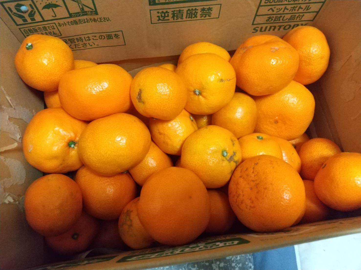 この季節がやってきました！！（愛媛の柑橘と言えば…）の画像