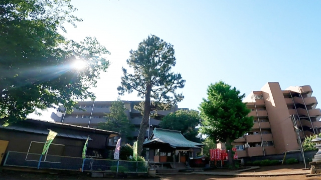 池袋駅まで約10分「氷川台駅」