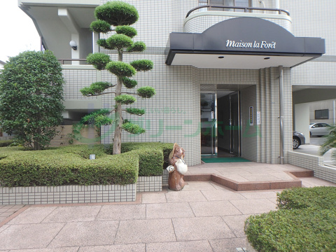 メゾンラフォーレ２LDKの画像