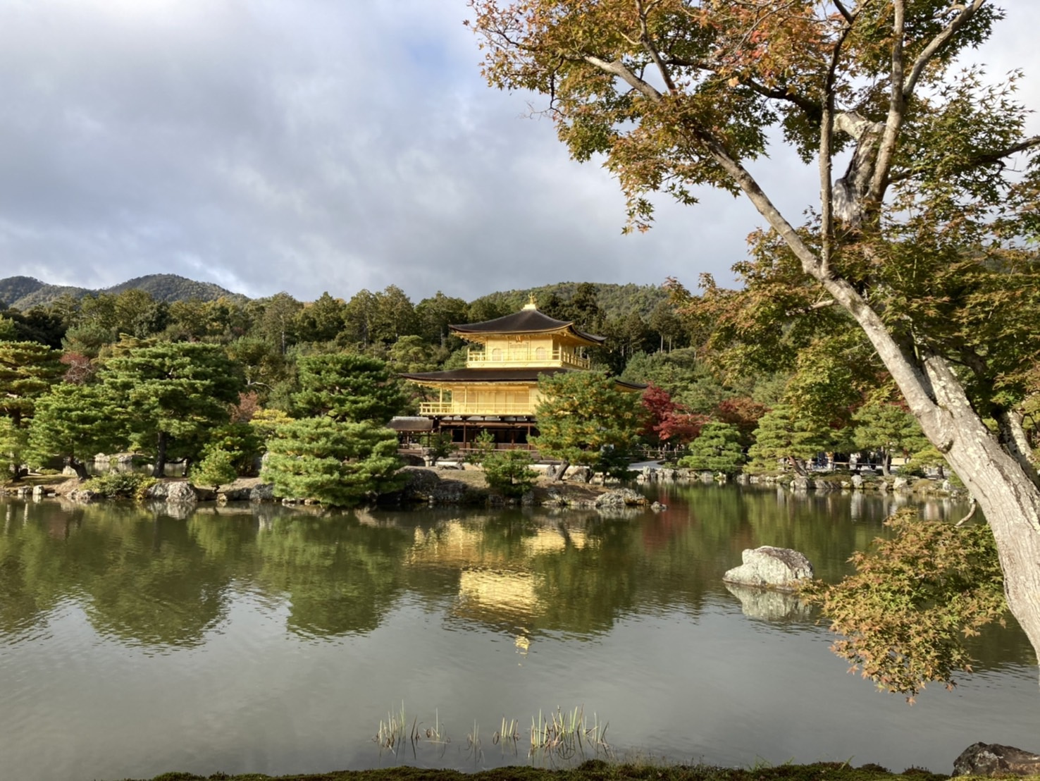 京都市北区を散策♪②の画像
