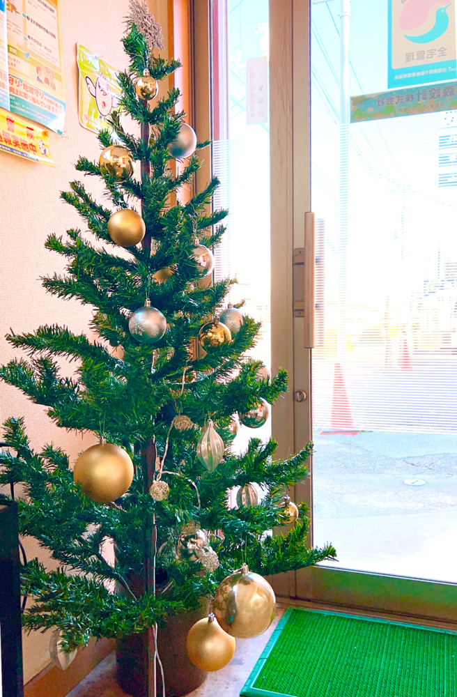 「クリスマスツリーを飾りました！」の画像