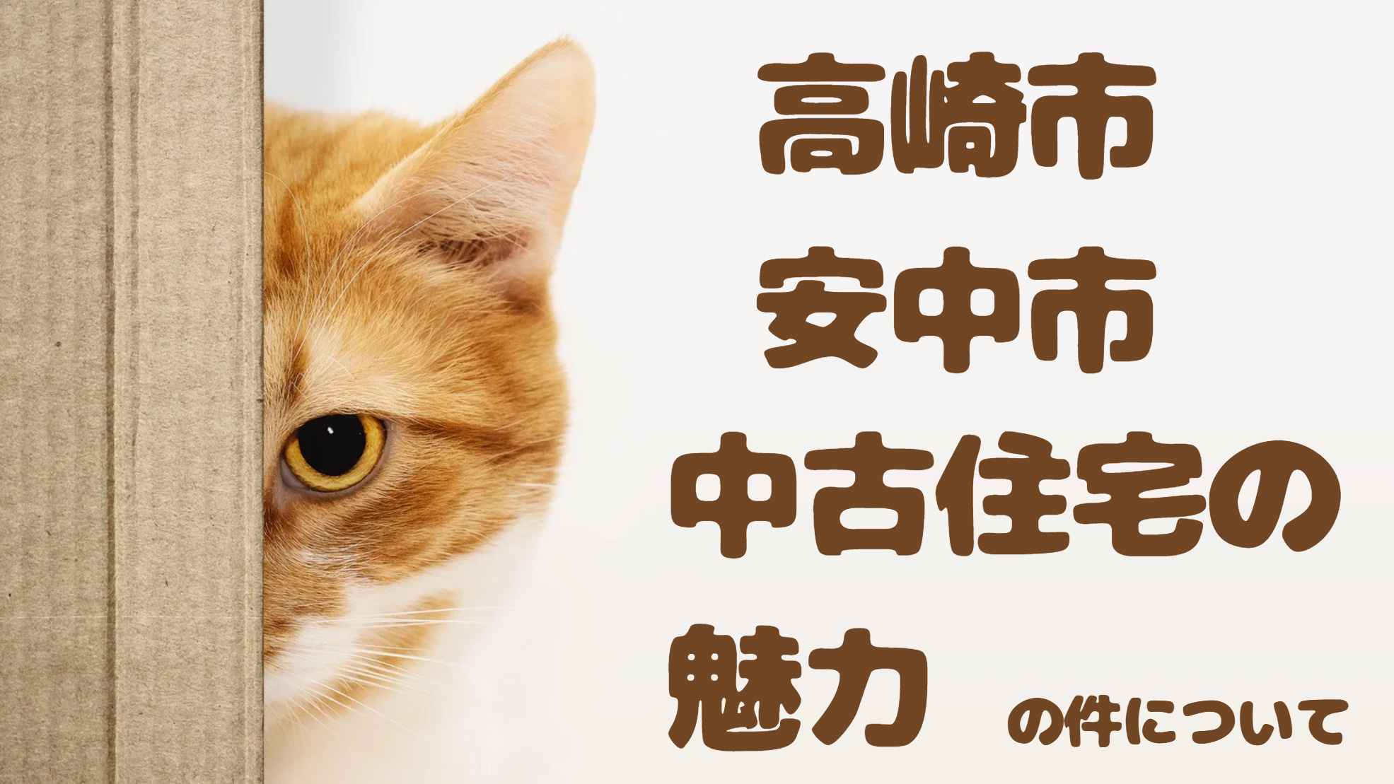 「高崎市・安中市」中古住宅の魅力をパワー不動産が徹底解説！お...の画像