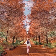 年末年始の画像