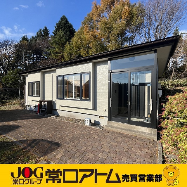 今日は【クリスマスツリーの日】です♪の画像