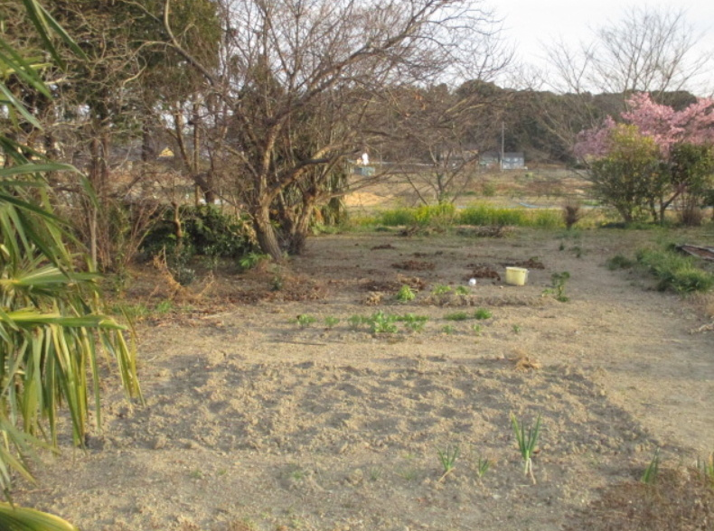 【売土地】掛川市薗ケ谷の画像