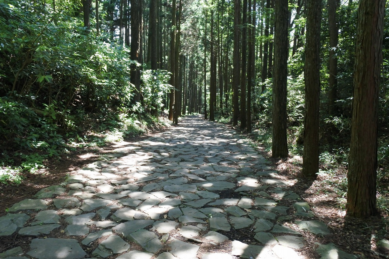 三島市の「箱根旧街道石畳」の魅力ご紹介！！の画像