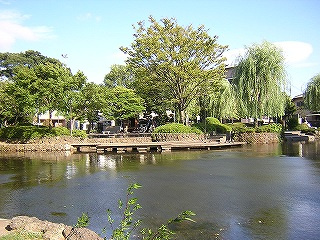 三島市の「菰池公園」の魅力ご紹介！！の画像