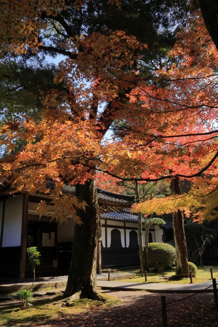 みやま市の家賃相場について解説の画像