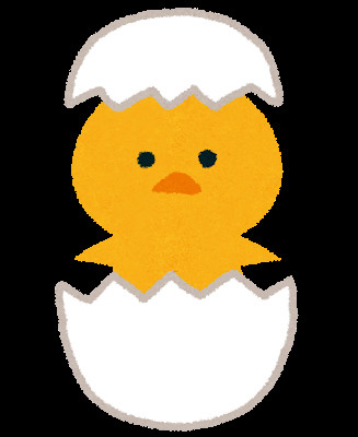ひよこの画像