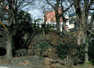 三島市の「愛染病院の溶岩塚）」の魅力ご紹介！！の画像