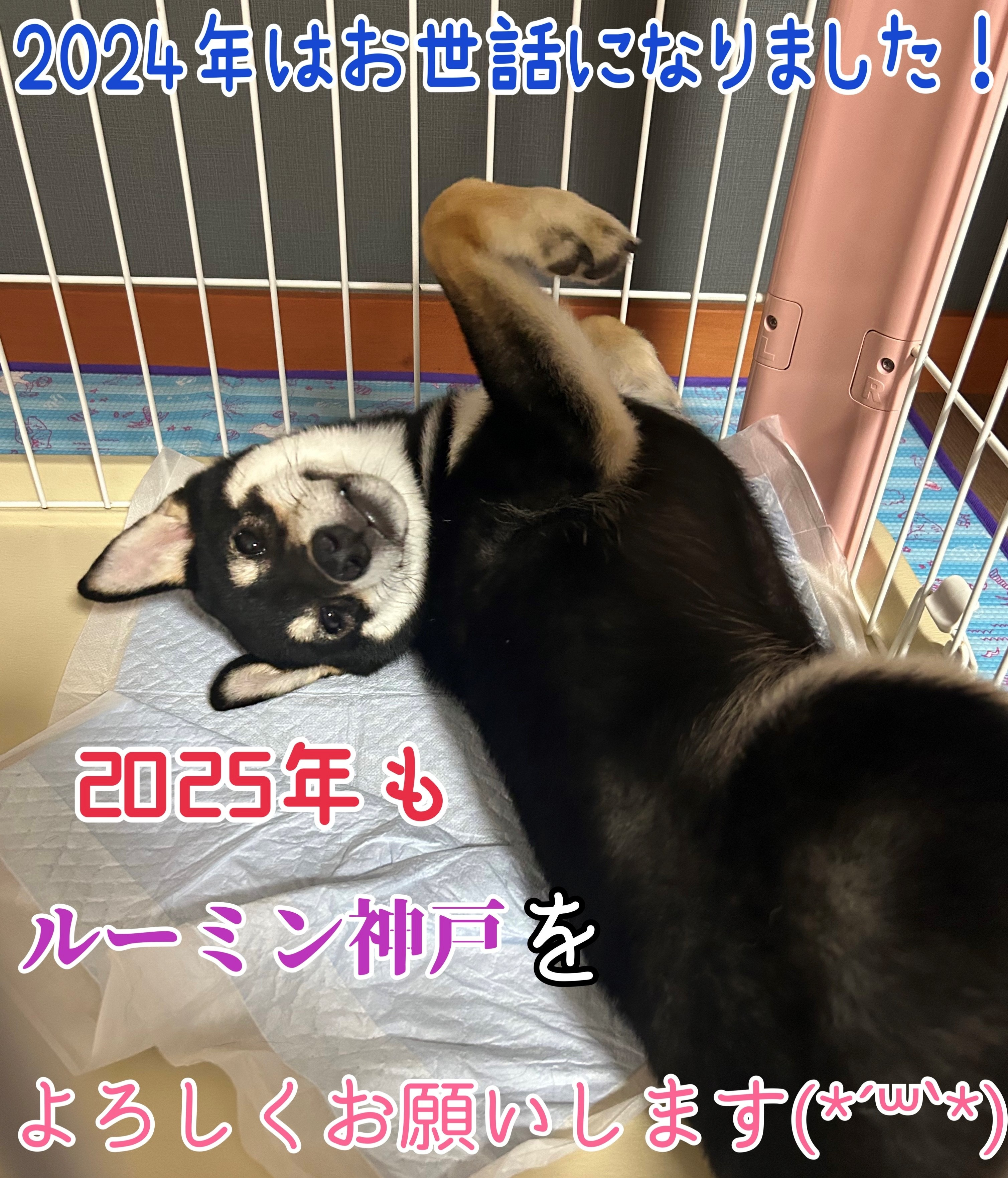 2024年もお世話になりました！の画像