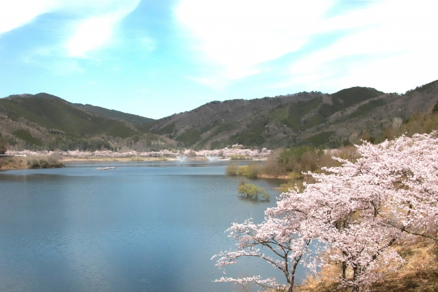 【安芸高田市の住みやすさ】家賃相場や引越すメリットもご紹介！...の画像