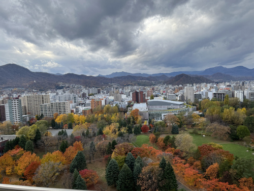 新規売り出し物件情報(ザ・タワー中島公園ラピス　ライオンズス...の画像
