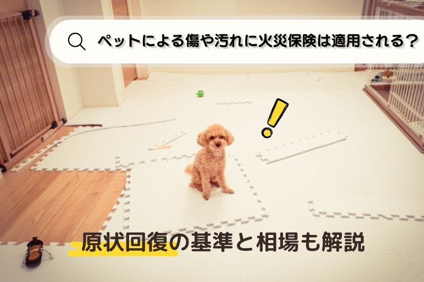 ペットによる傷や汚れに火災保険は適用される？原状回復の基準と相場も解説