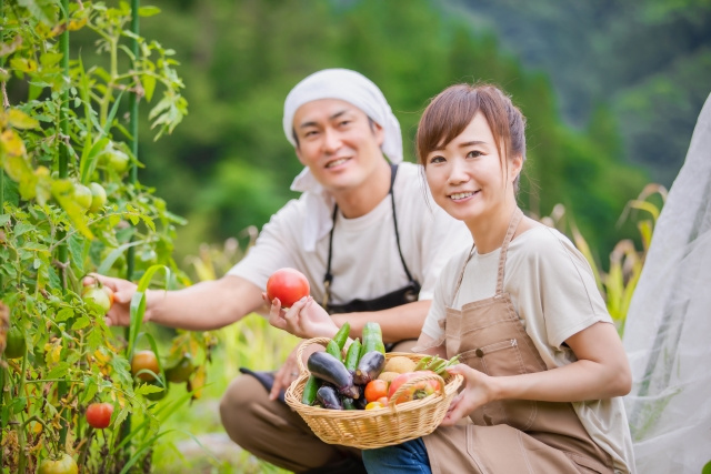 土地活用のアイデアをご紹介！始めやすい・収益性が高い方法もご...の画像