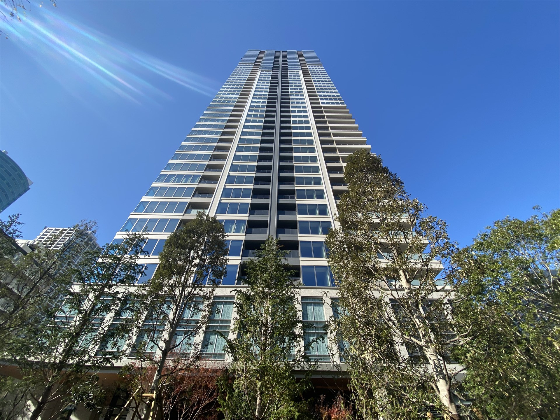 白金スカイの画像